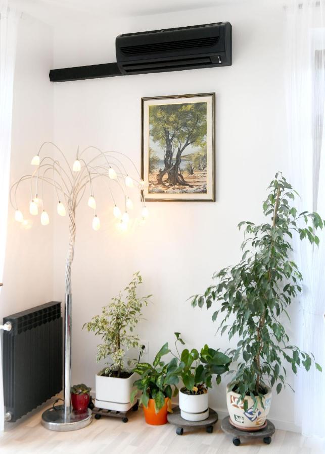 Divia Apartment Fiume Kültér fotó